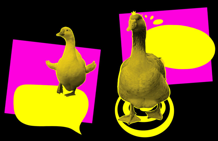 machine learning ai animali